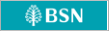 BSN Online