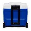 Igloo Profile Roller 30 QT (28L) – majestic blue (3)
