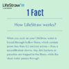 Lifestraw Impact_lifestyle (4)