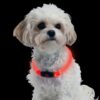 Nite Ize NiteHowl Safety Necklace (4)